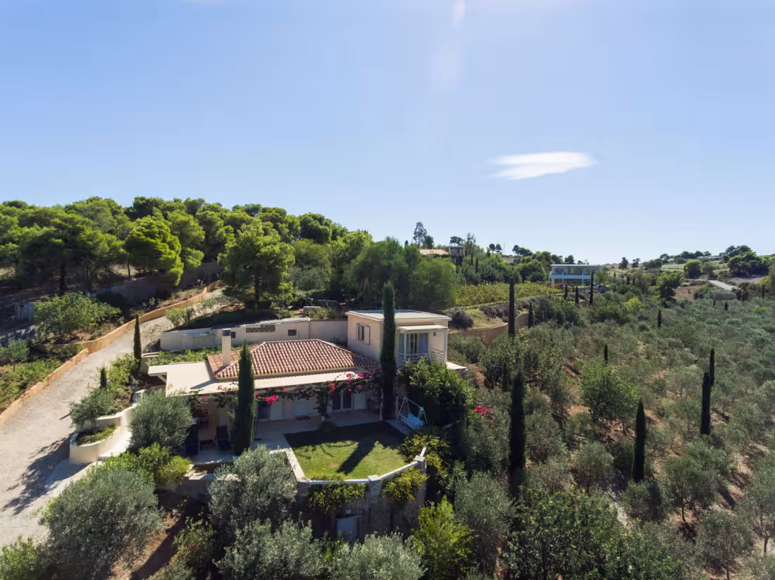 Villa set among olive groves on a hillside